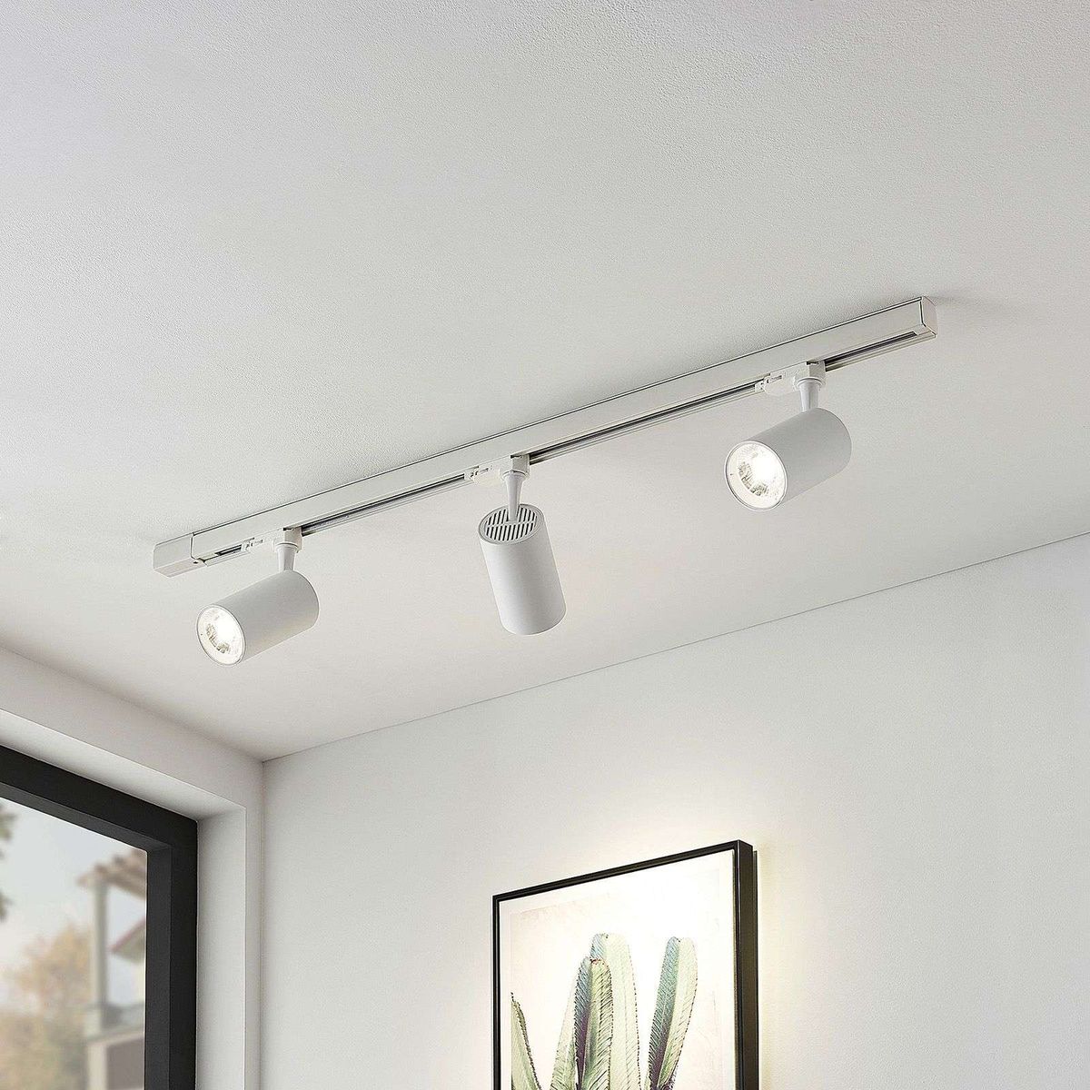 Lighting Accessories