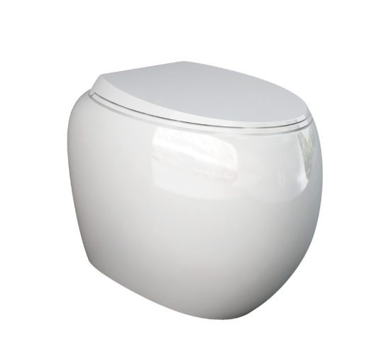 RAK Cloud toilet seat in alpine gloss white with soft-close and quick-release – Pilbara Bathroom Warehouse Perth and regional Western Australia