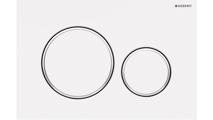 Sigma20 Dual Flush Button Round Matte White With Gloss White Trim