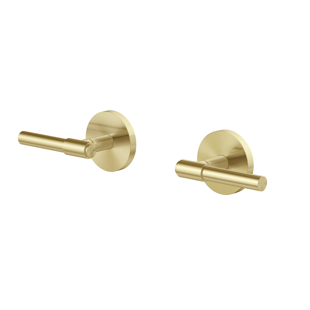 Vivid MKII Wall Top Assemblies – Lead Free