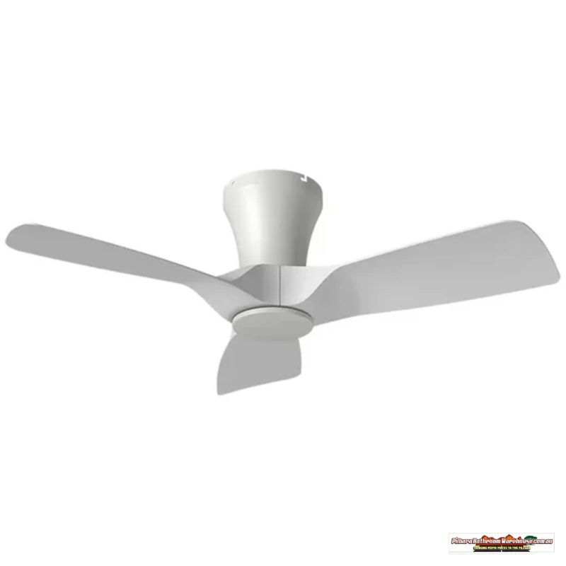 32" Kiwi Ceiling Fan - Modern Design with Powerful Performance