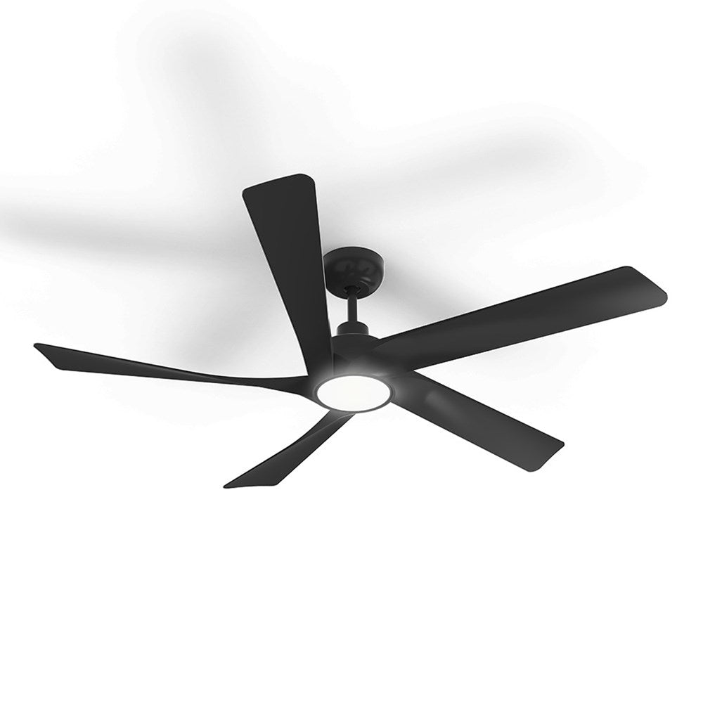 54" Maroubra DC Ceiling Fan with Light