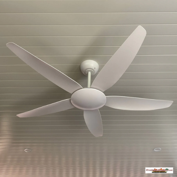 56” (1420mm) Amari DC Ceiling Fan – 5 Blades in White or Black