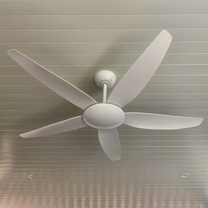 56″ Amari DC Ceiling Fan