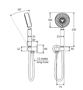 Michelle Hand Shower, Chrome