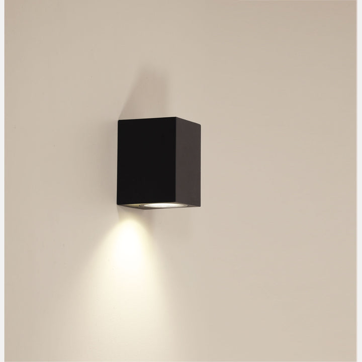 Atlas Black and White Outdoor Wall Light