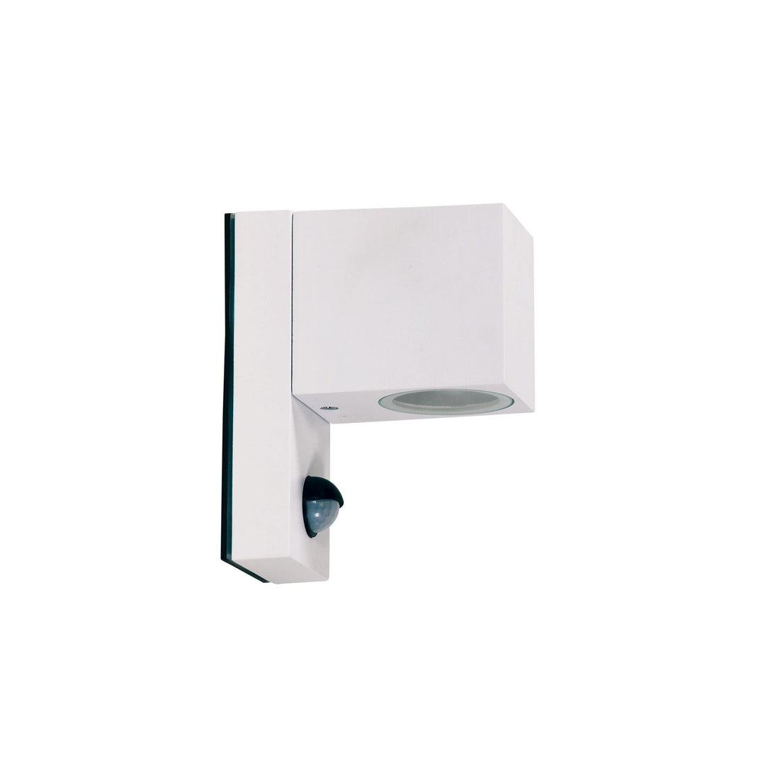 Atlas Sensor Black and White Outdoor Light