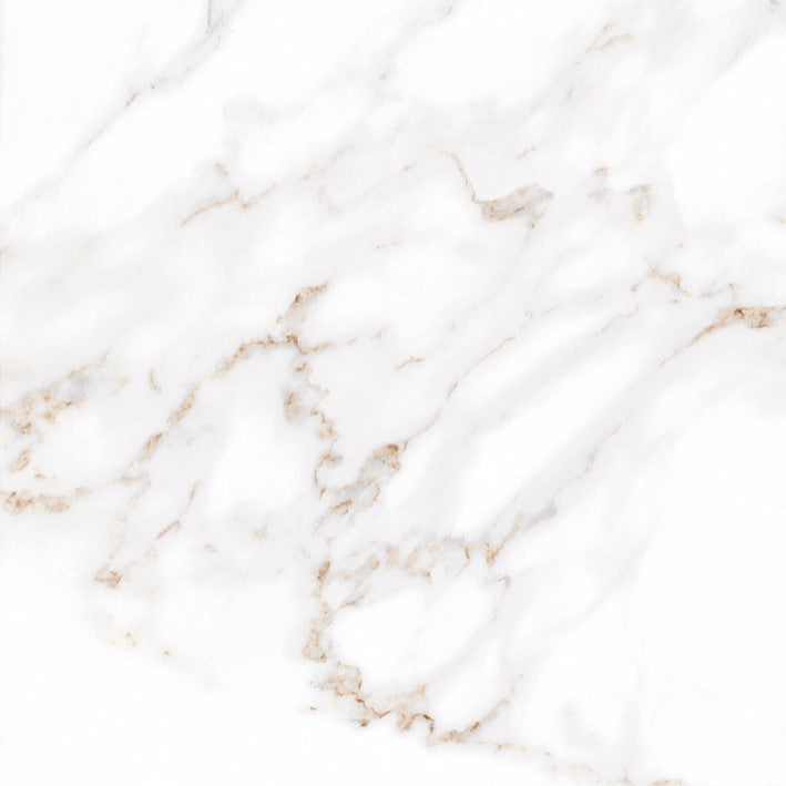 Calalatta Polished Porcelain Tile 600 x 600