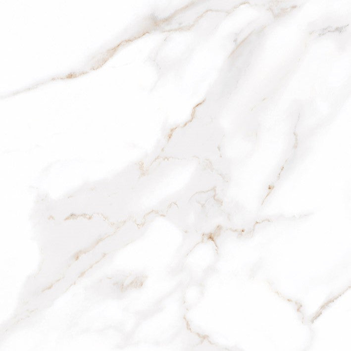 Calalatta Polished Porcelain Tile 600 x 600