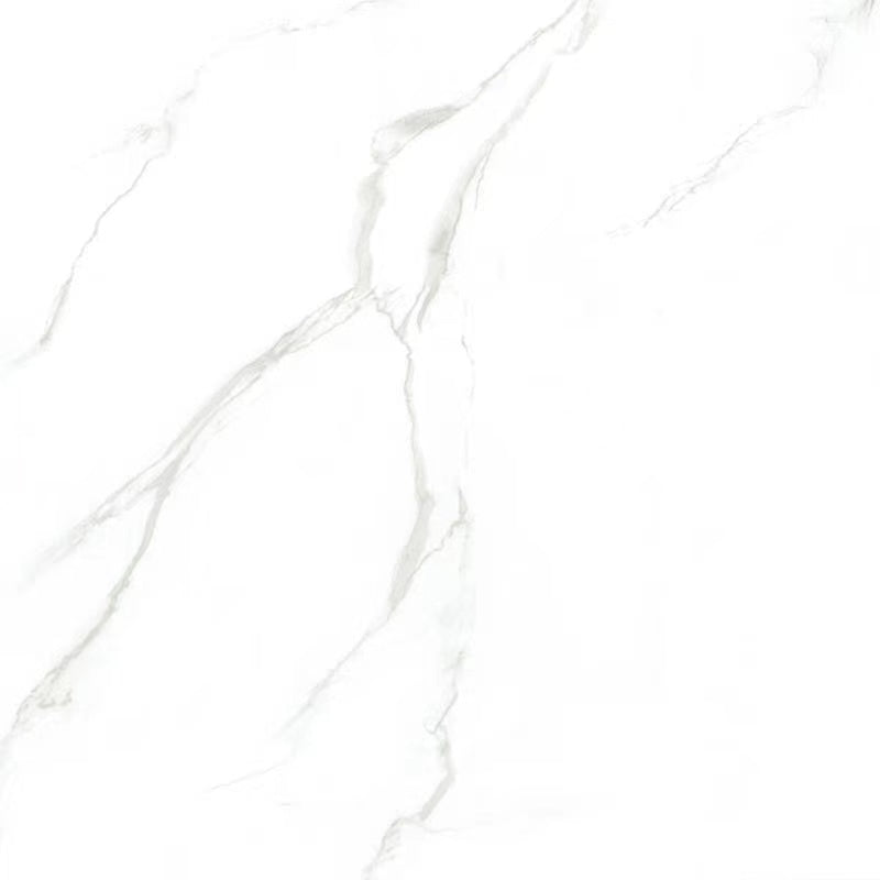 Carrara Gloss Tile 600x600