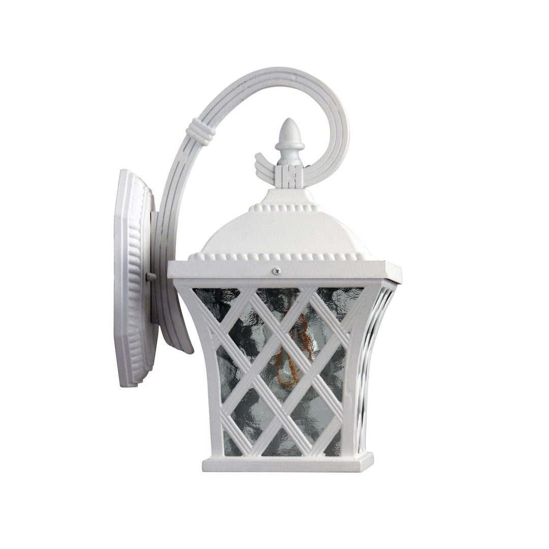 FAIRVIEW Traditional Outdoor Coach Light | Black & White