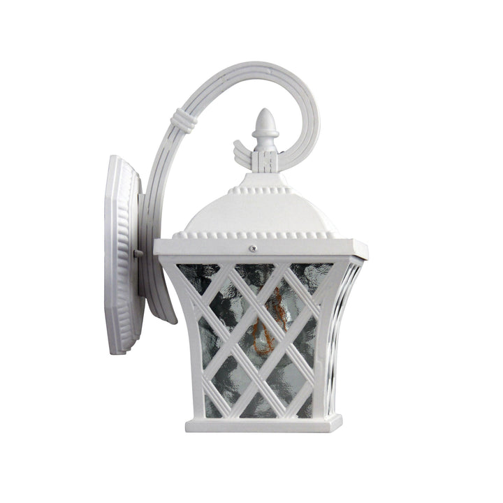 FAIRVIEW Traditional Outdoor Coach Light | Black & White