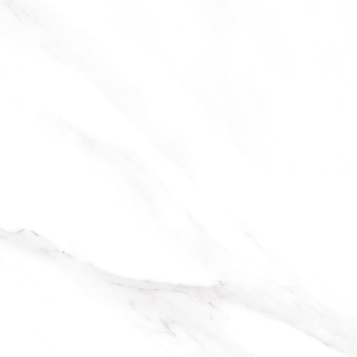 Fiora Statuario Matt Porcelain Tile 600 x 600