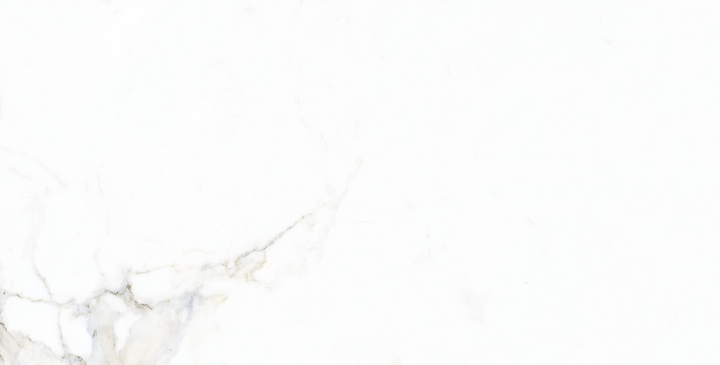Frost Carrara Gloss Tile 300x600