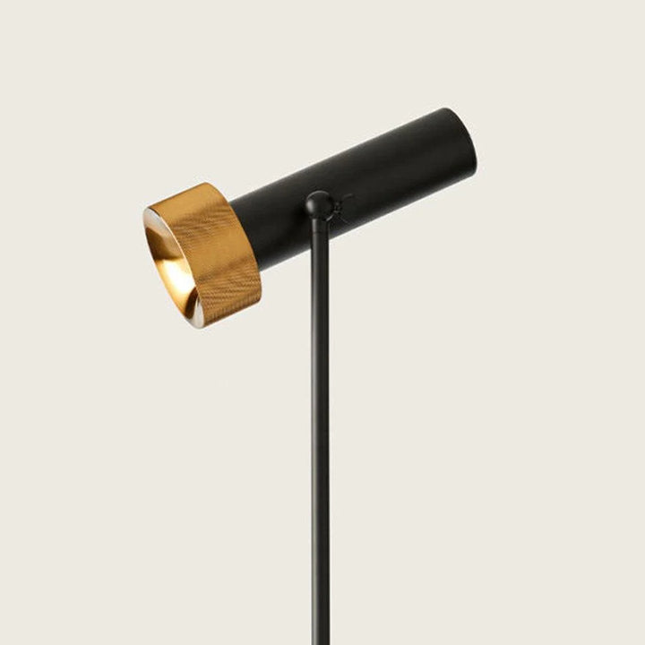 Focus LED Floor Lamp