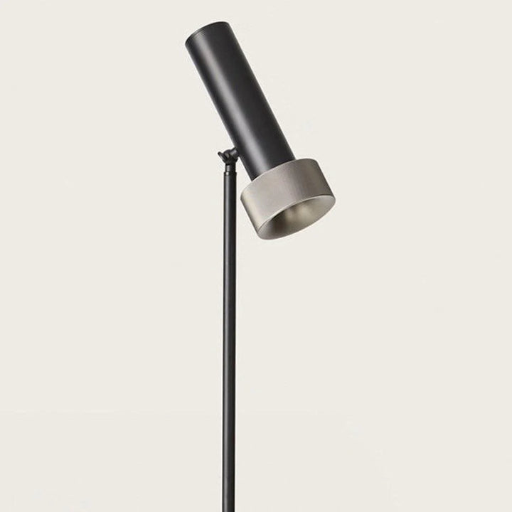 Focus LED Floor Lamp
