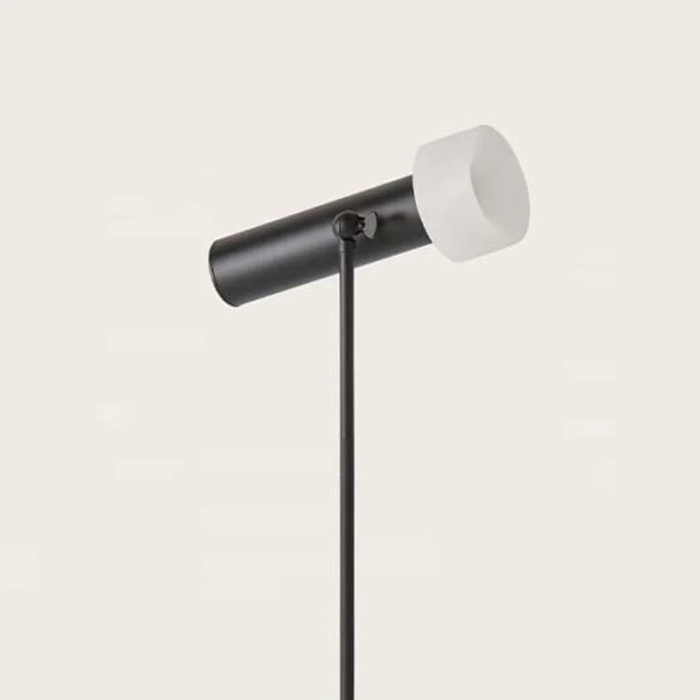 Focus LED Floor Lamp