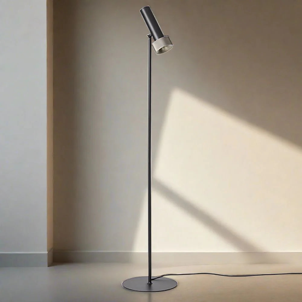 Focus LED Floor Lamp