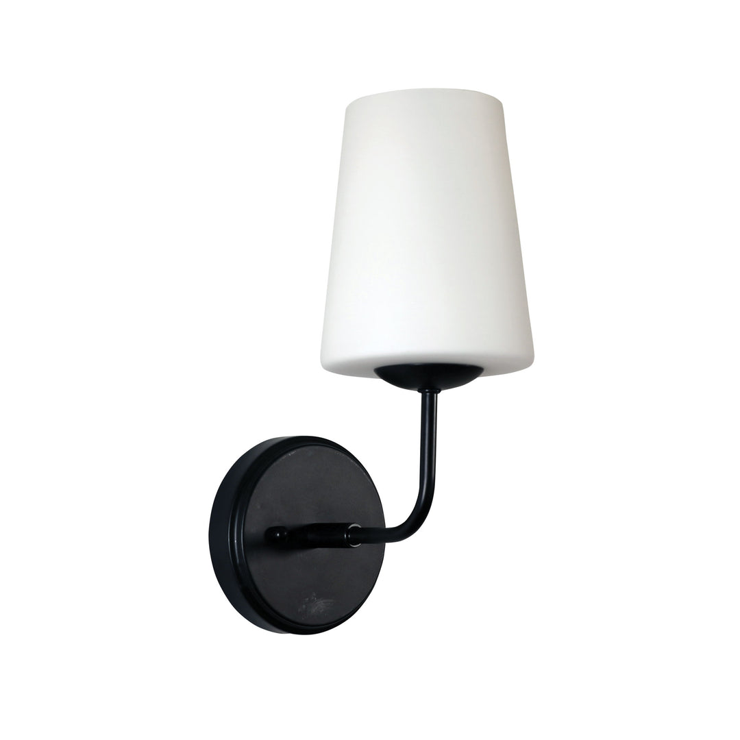HOPLEY BLACK Glass Wall Light
