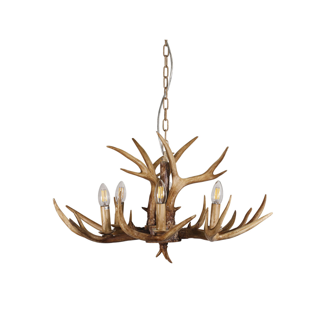 Hyort 6 Light KD Designer Pendant