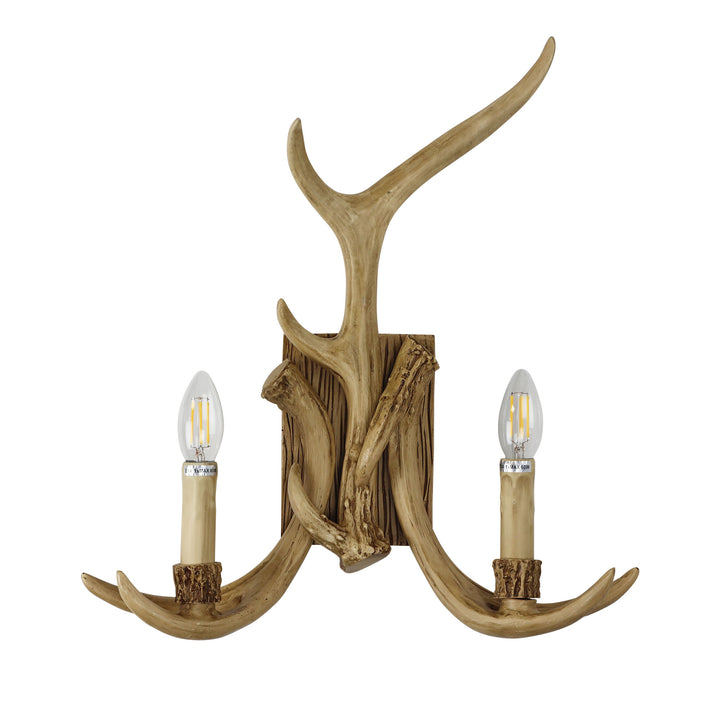 Hyort Designer Wall Light
