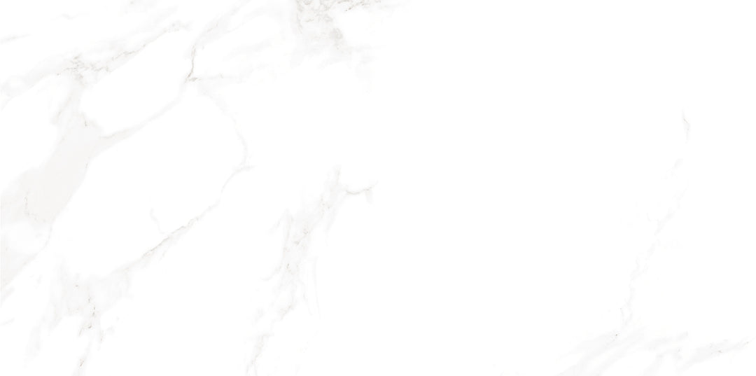 Marble Cararra Matt Porcelain Tile 300 x 600