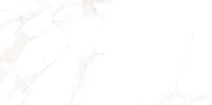 Marble Cararra Matt Porcelain Tile 300 x 600