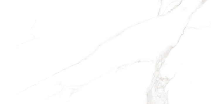 Marble Cararra Matt Porcelain Tile 300 x 600