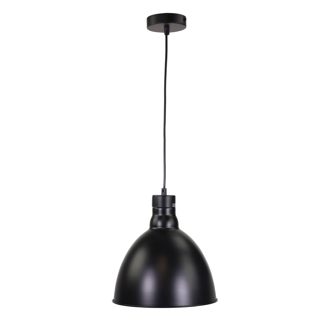 DAWSON PENDANT Black Barn Style Pendant
