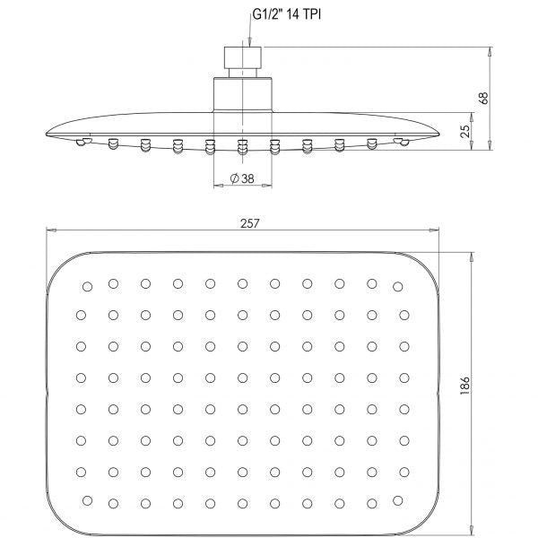 Rush Shower Rose 200 x 250mm