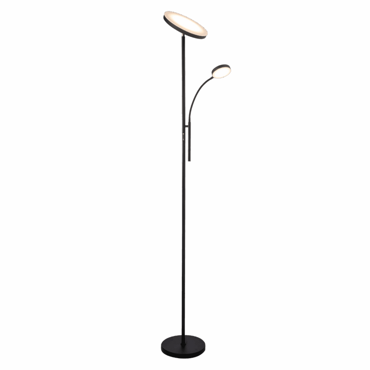 Samson Mother and Child LED Floor Lamp in Black