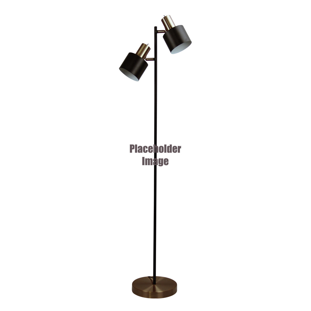 Ari Twin Floor Lamp Black W/Ant Brass Head