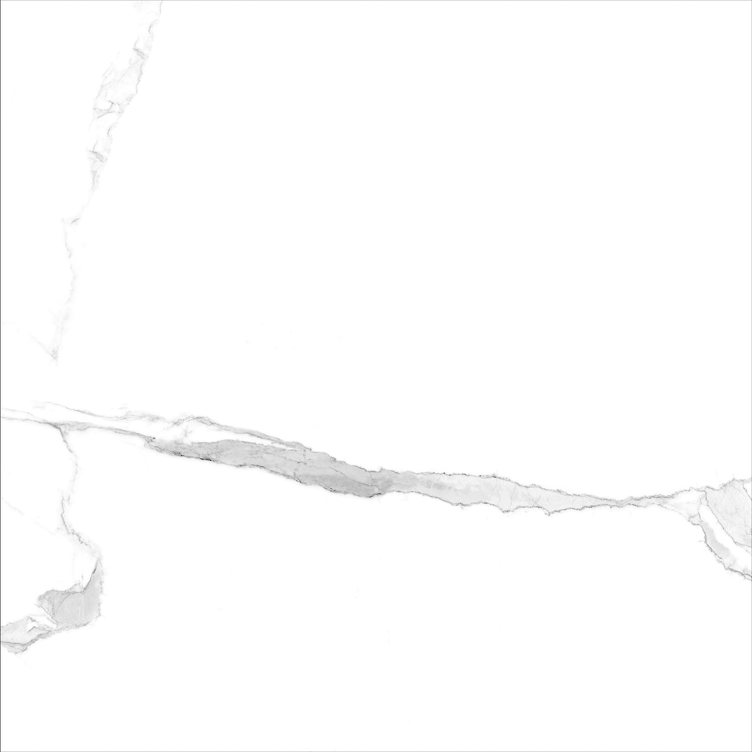 Swiss Carrara-Matte Tile 300x600