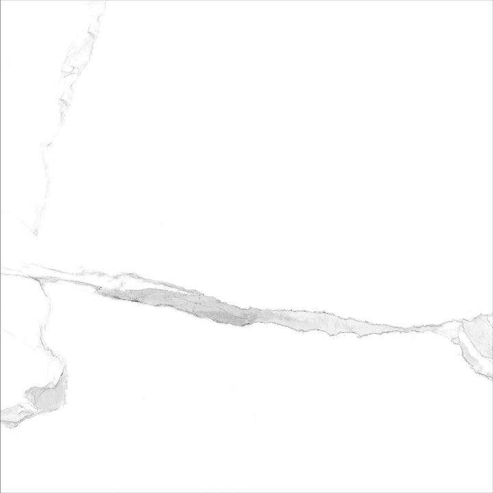 Swiss Carrara-Matte Tile 300x600