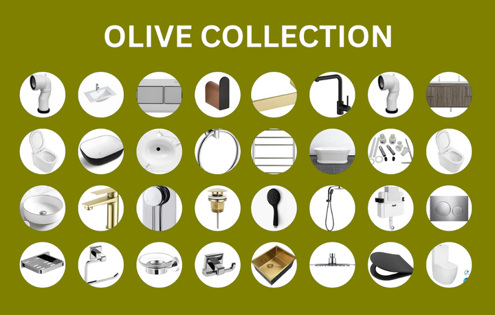 ORVIS W
