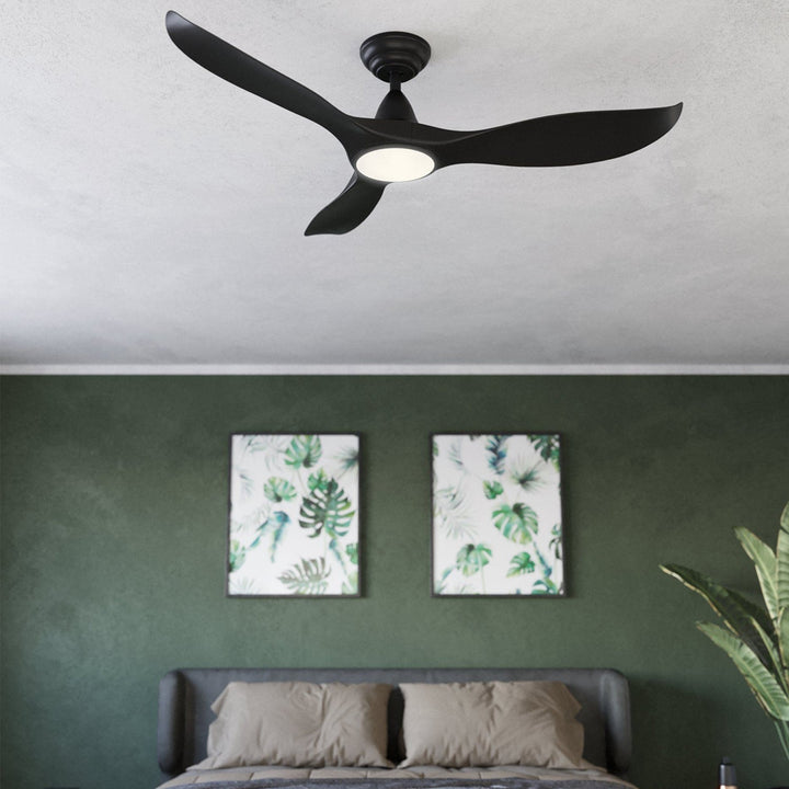 40" Noosa DC Ceiling Fan with Light