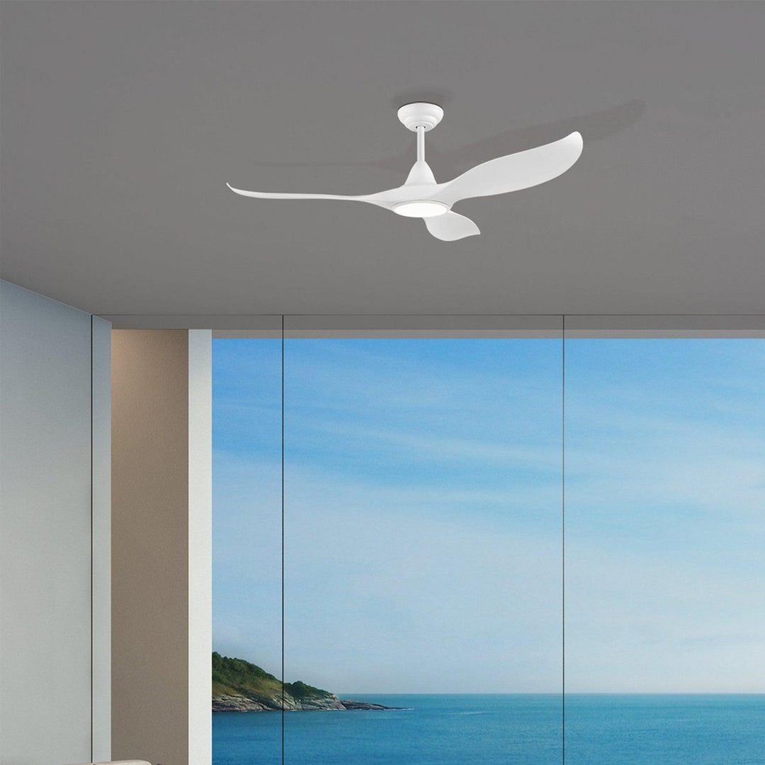 52" Noosa DC Ceiling Fan with Light