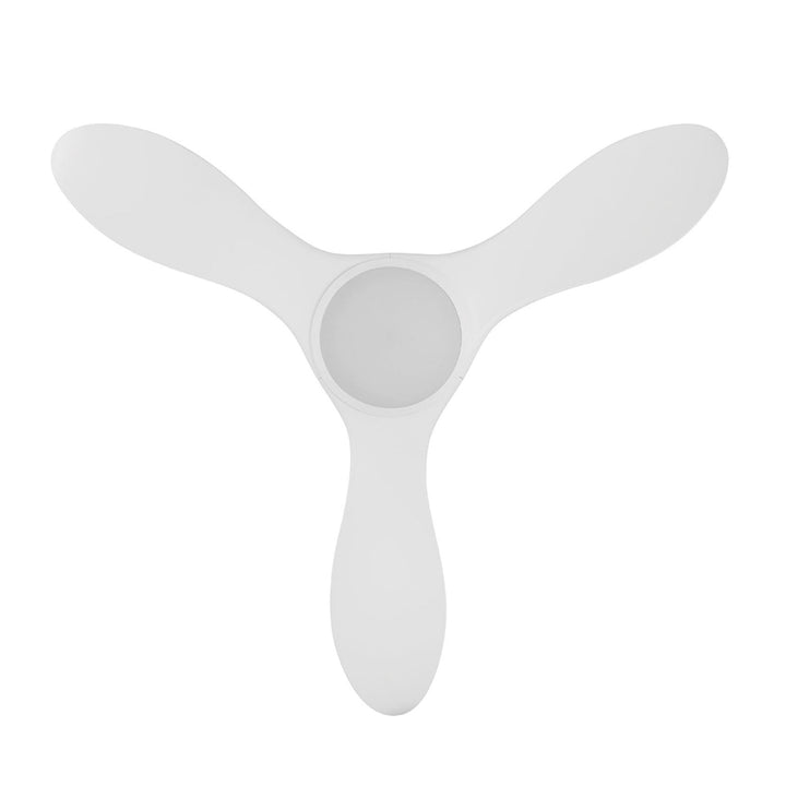 40" Noosa DC Ceiling Fan with Light