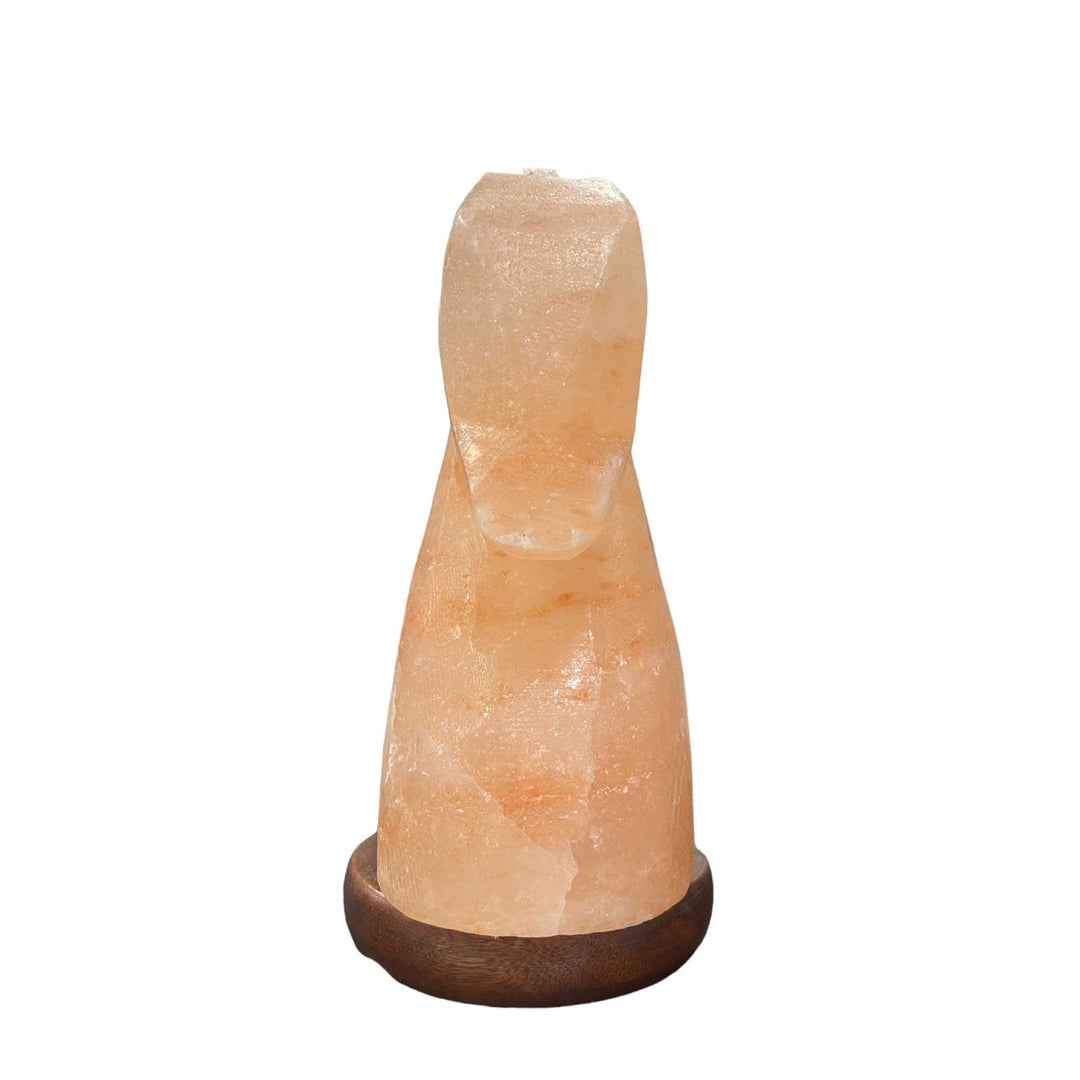 Himalayan Pink Salt Lamp Horse