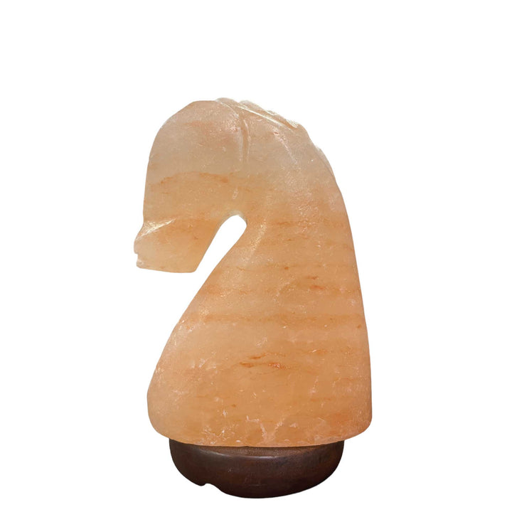 Himalayan Pink Salt Lamp Horse