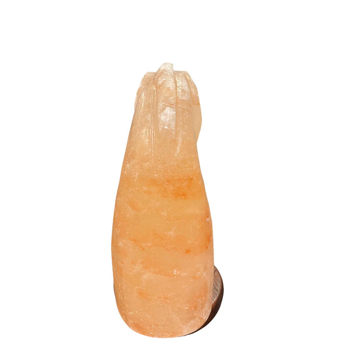 Himalayan Pink Salt Lamp Horse